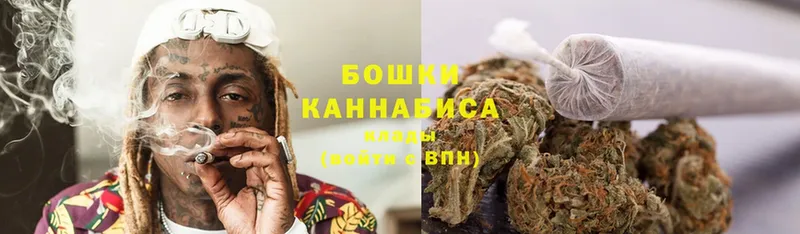 закладка  Каменногорск  Бошки Шишки SATIVA & INDICA 